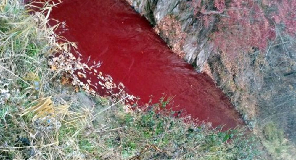 朝鲜半岛上的河流被猪血染红