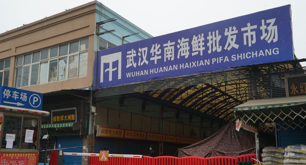 报告：世卫组织未确定武汉华南市场在新冠疫情传播中起的作用
