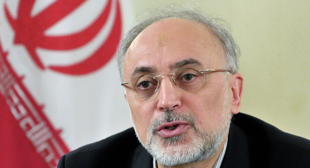 伊朗原子能组织负责人：伊朗不会单方面坚持伊核协议