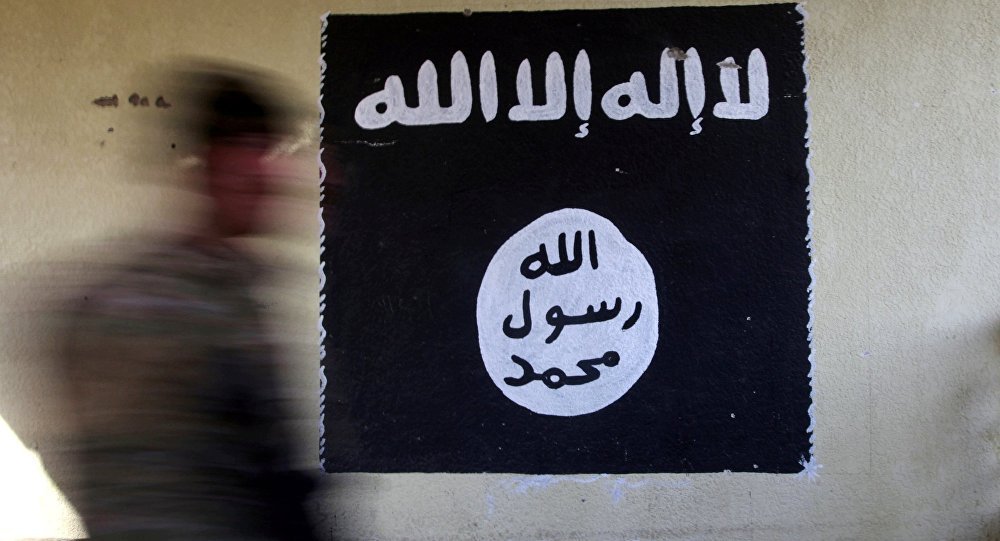 上合组织反恐机构：伊斯兰国演变成全球性网络组织