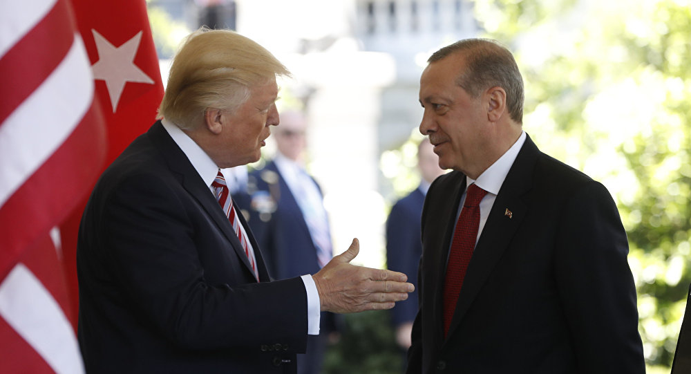 土耳其总统府：土美两国元首将于11月13日在美国举行会晤