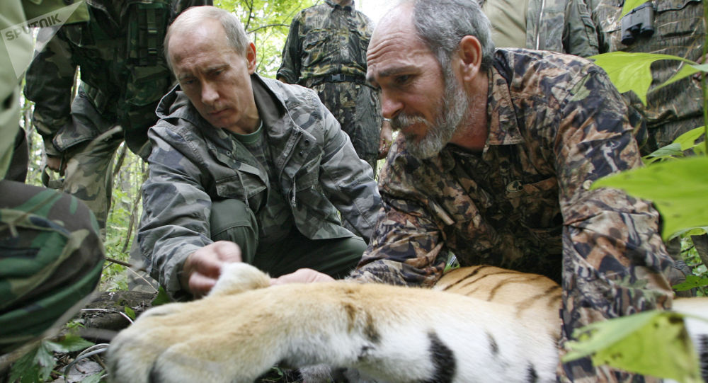 世界自然基金会：中国居民喂食俄总统放生的老虎