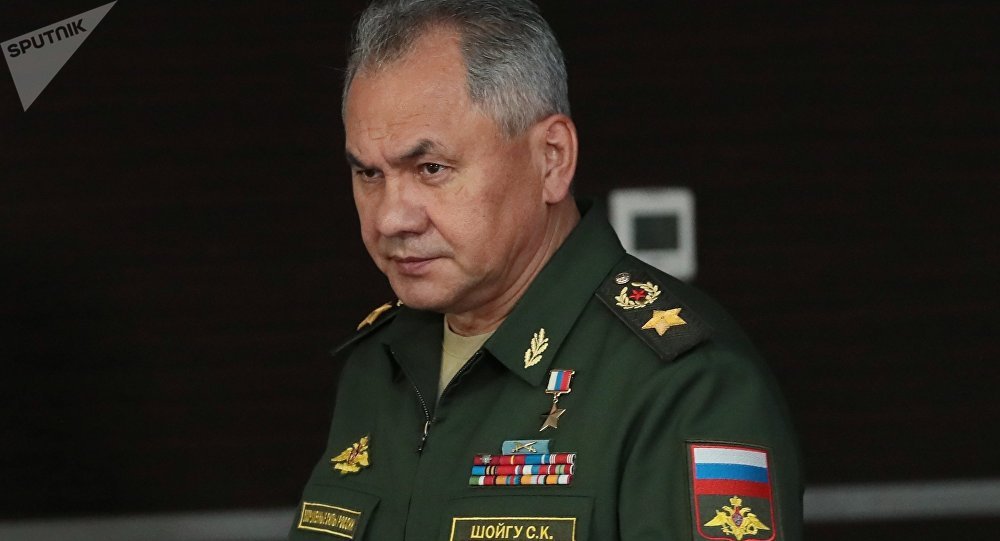 俄防长：落实俄土两国有关叙问题的备忘录并非毫不费力