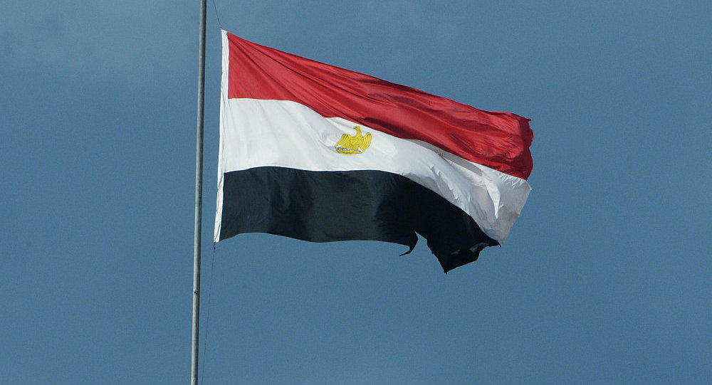 埃及贸工部长：2020年年中埃及与欧亚经济联盟或将达成自贸区协定