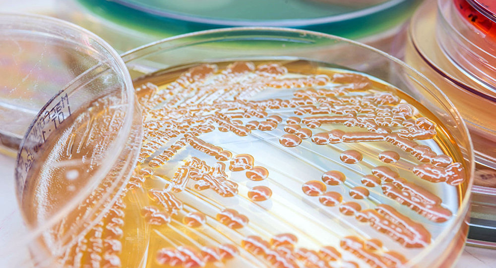 俄罗斯学者们制造出灭杀98%细菌的移植材料