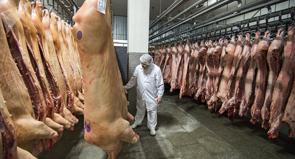 俄罗斯部长希望解决2019年向中国出口猪肉的问题