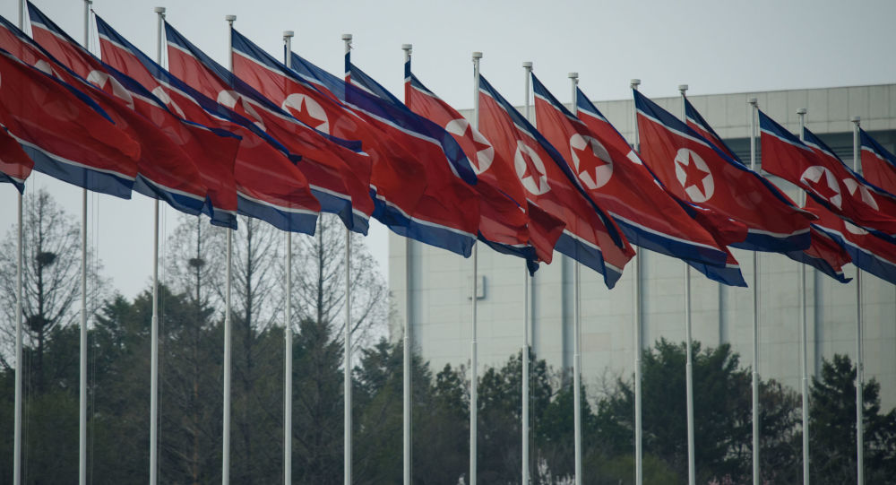 朝鲜国务委员会：平壤认为举行韩美联合演习是背信弃义的行为