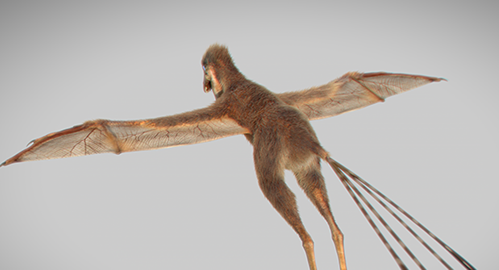 科学家在琥珀中发现吸恐龙血的史前虱子