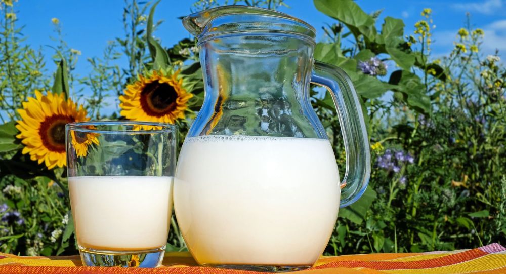科学家称全脂牛奶减少孩子肥胖的风险
