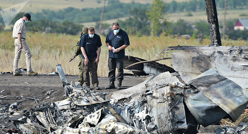 荷兰众议院要求调查乌克兰在马航MH17空难中扮演的角色