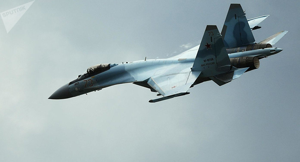普京与埃尔多安讨论苏-35战斗机项目合作的可能性