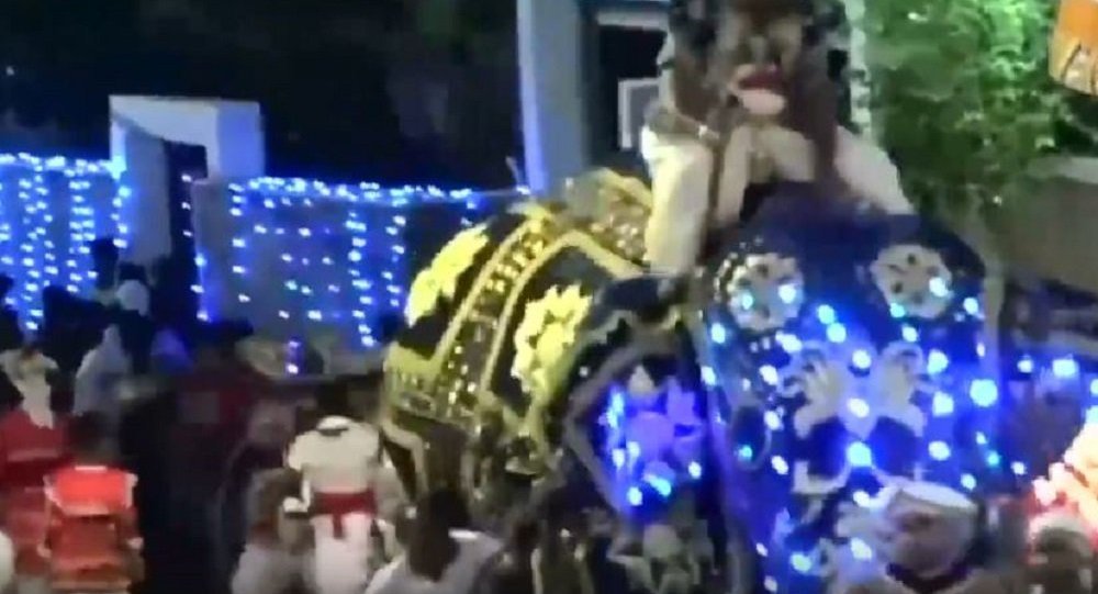 大象在斯里兰卡的游行上发怒