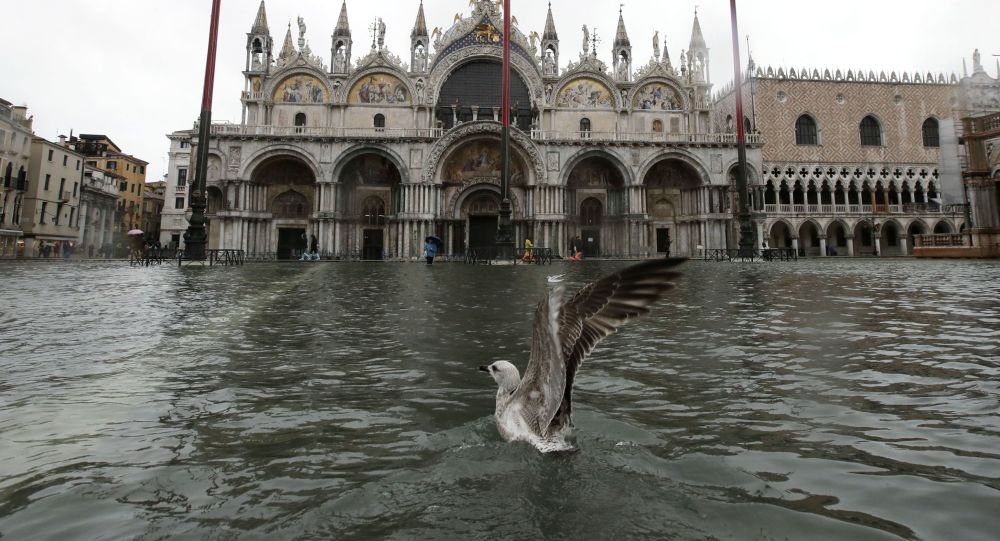 威尼斯当局：洪灾造成10亿欧元损失