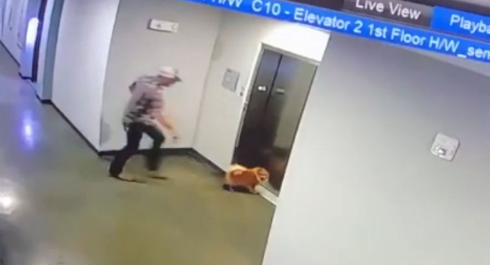男子救下被电梯门卡住的狗狗