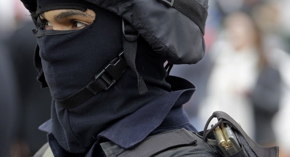 埃及内政部:埃及安全部队在西奈半岛北部消灭16名武装分子