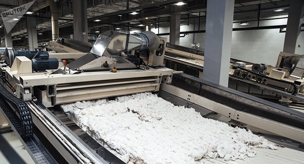 中国或将投资高达100亿人民币在克拉斯诺亚尔斯克建设纸浆厂