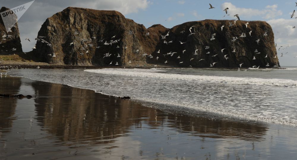 第一批赴俄国后岛的日本游客已开始观光行程